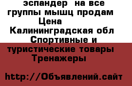  эспандер  на все группы мышц продам › Цена ­ 700 - Калининградская обл. Спортивные и туристические товары » Тренажеры   